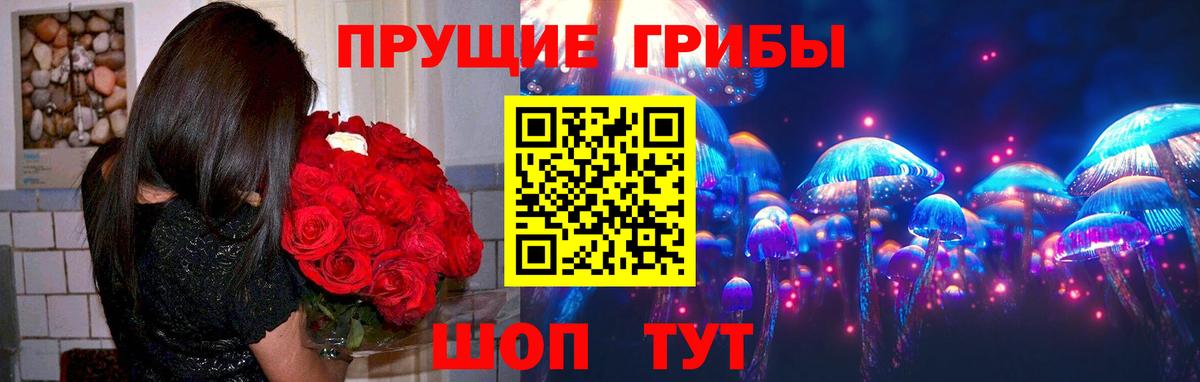 Галлюциногенные грибы Magic Shrooms Карпинск
